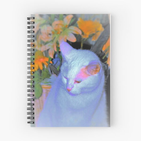 Item preview, Kitty in front of basket designed and sold by B. Randi Bailey.