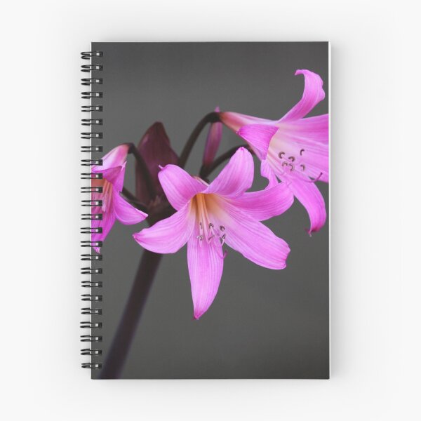 Item preview, Naked Ladies designed and sold by Keren Smithies.
