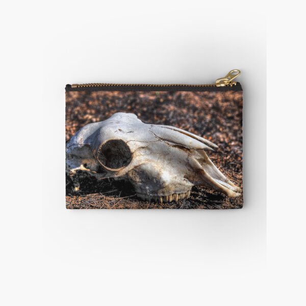 Item preview, Sheep skull designed and sold by shaynetwright.