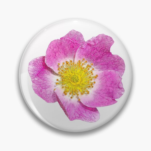 Item preview, Nootka rose 1 designed and sold by MG-Photo.