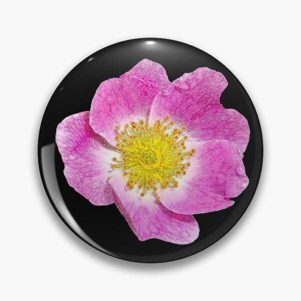 Item preview, Nootka rose 2 designed and sold by MG-Photo.
