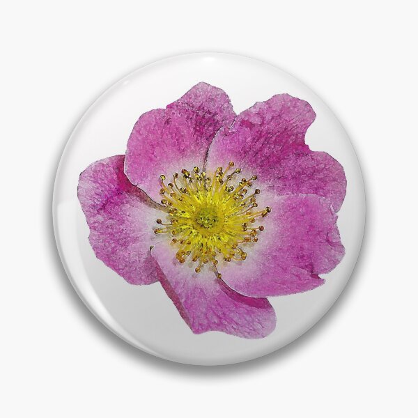 Item preview, Nootka rose 3 designed and sold by MG-Photo.