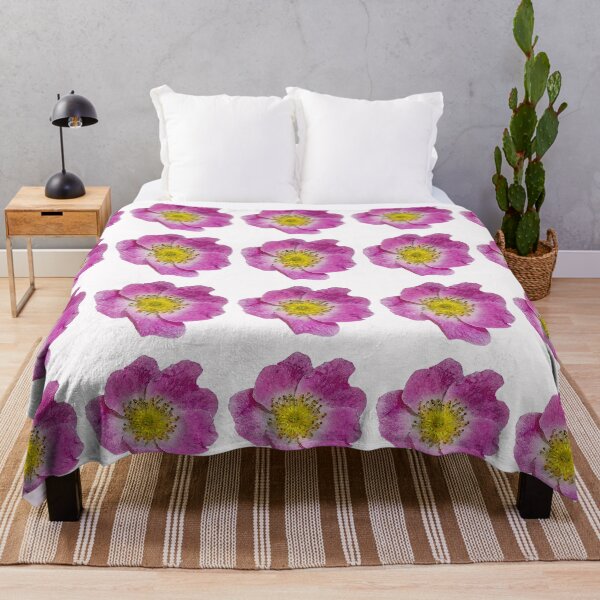 Item preview, Nootka rose 3 designed and sold by MG-Photo.