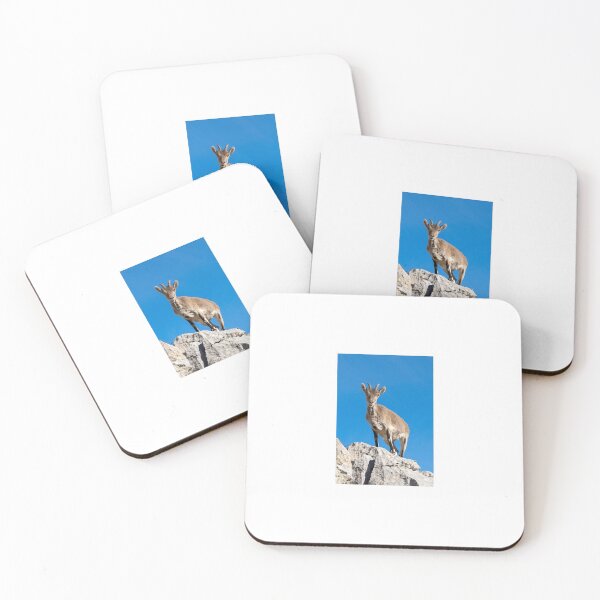 Item preview, Iberian Ibex designed and sold by DiFigianoPhoto.