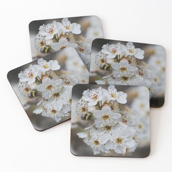 Item preview, Ornamental Pear White Flowers  designed and sold by Joy Watson - Natural Light Photography .