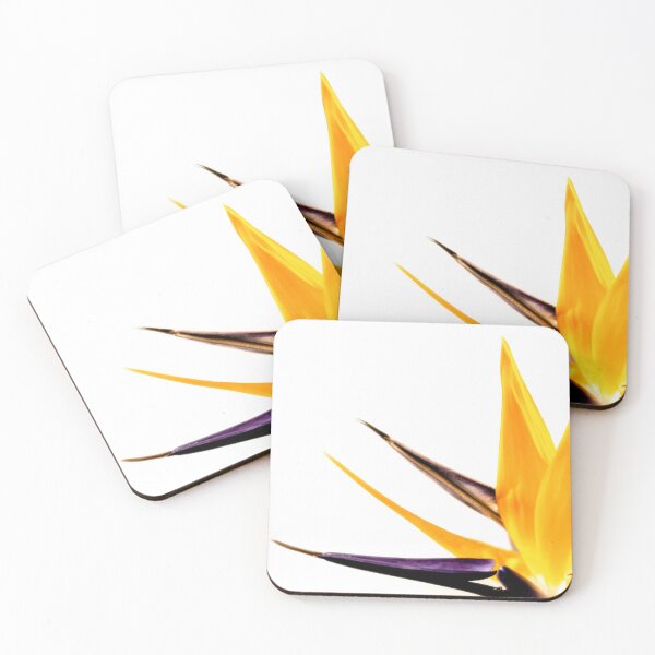 Item preview, Bird of Paradise designed and sold by DiFigianoPhoto.