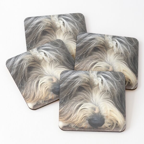 Bearded Collie Nap Time - Always got one eye open just in case! Coasters (Set of 4)