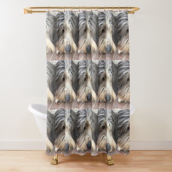 Bearded Collie Nap Time - Always got one eye open just in case! Shower Curtain