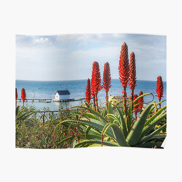 KINGS POINT PORTSEA Poster