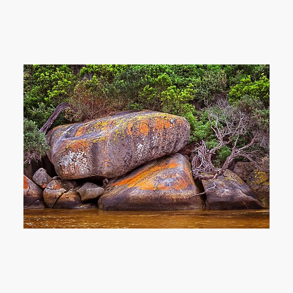 Item preview, 2074 Tidal River designed and sold by Hans Kawitzki.