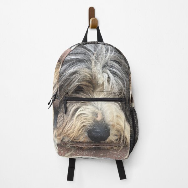 Item preview, Bearded Collie Nap Time - Always got one eye open just in case! designed and sold by Bucklandcrafts.