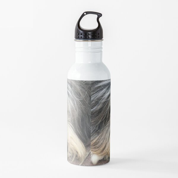 Bearded Collie Nap Time - Always got one eye open just in case! Water Bottle