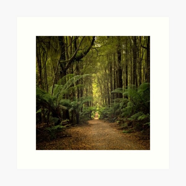 Item preview, Magical Forest designed and sold by Catherine Reading.