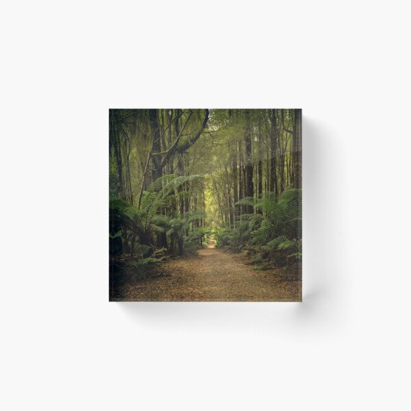 Item preview, Magical Forest designed and sold by Catherine Reading.