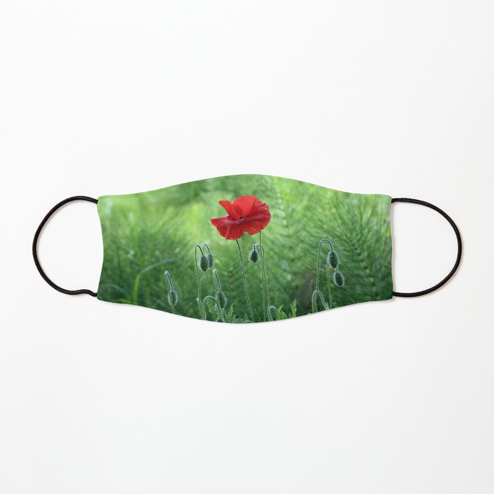 www.lizgarnett.com - Kent Poppy 1 Mask