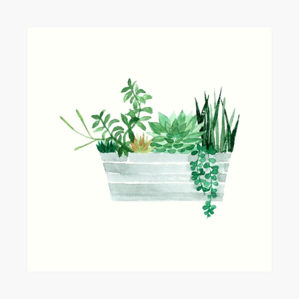 Item preview, Large Succulent Pot designed and sold by victorsboutique.