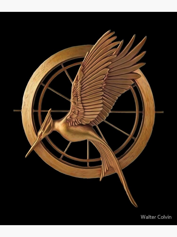 " Mockingbird jay" Poster for Sale by Skyviper Redbubble