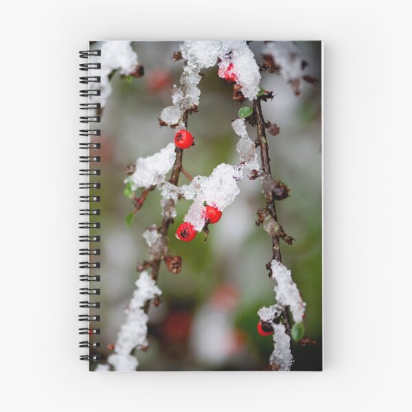 Item preview, Frosty Reception designed and sold by DoodleBugImages.