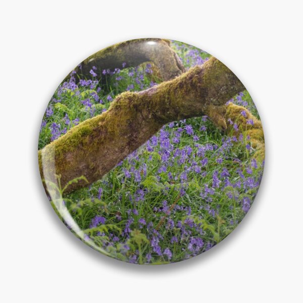 Item preview, Crossing Over Bluebells designed and sold by Resolution Photography Scotland.