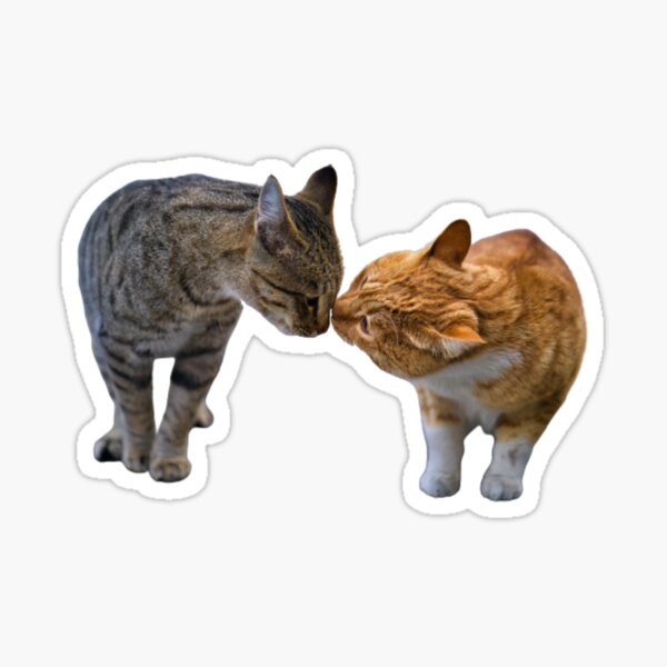 Kissing Animals ~ Cats Gift Decor ~ Vivid Coaster Striped Kitten Love 