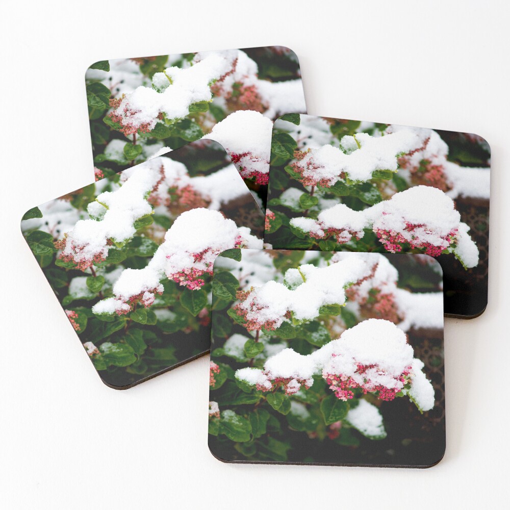 Item preview, Coasters (Set of 4) designed and sold by DoodleBugImages.