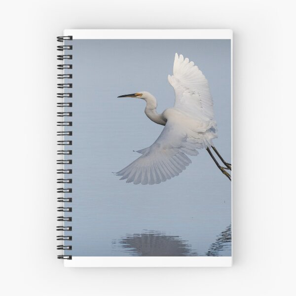 Item preview, Little egret.  designed and sold by DaveBassett.
