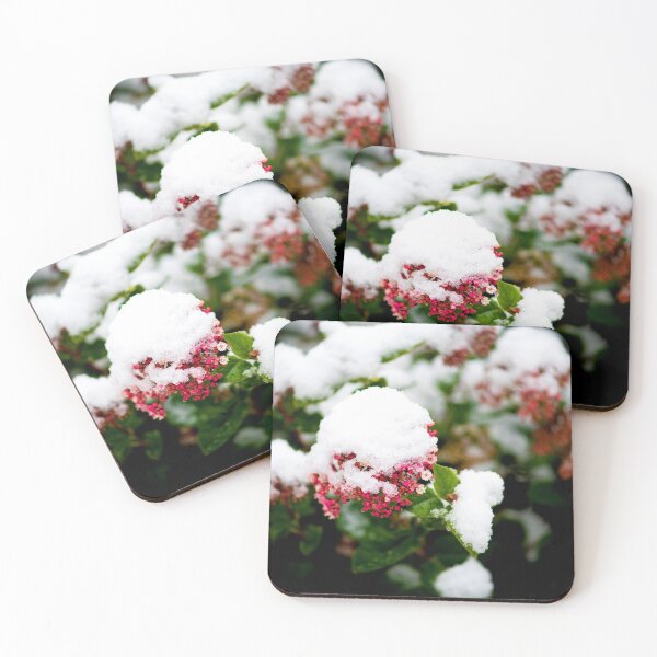 Item preview, Winter Flowers designed and sold by DoodleBugImages.