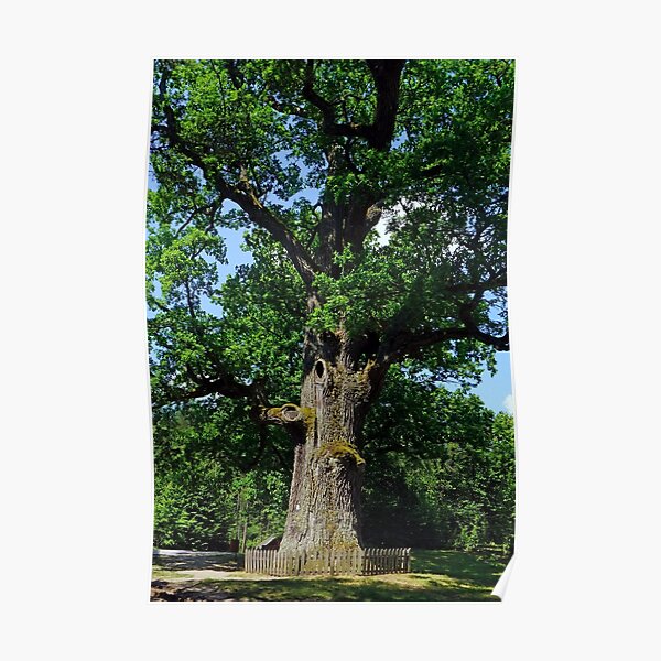 500 Years Posters Redbubble