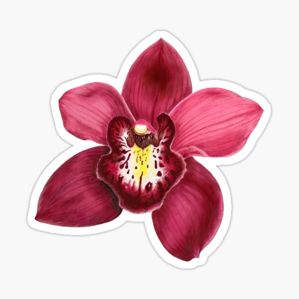 Artikel-Vorschau von Wunderschöne dunkelrote Orchideenblüte, designt und verkauft von AsyaTury.