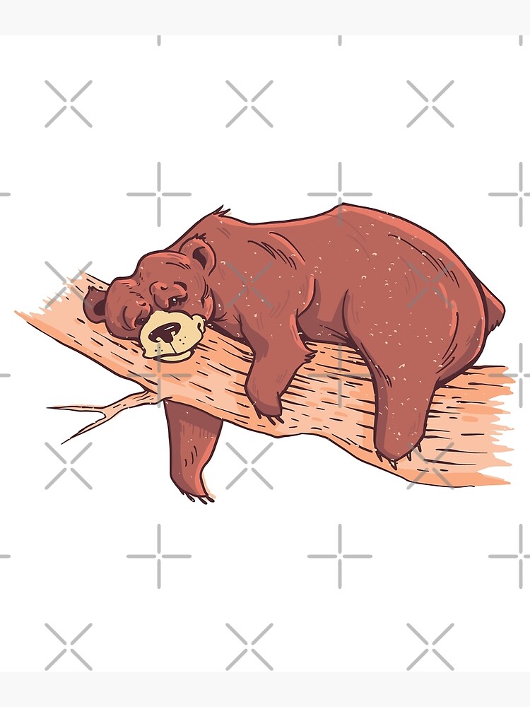 Poster mit Fauler Bär, Schlafender Bär von DerSenat