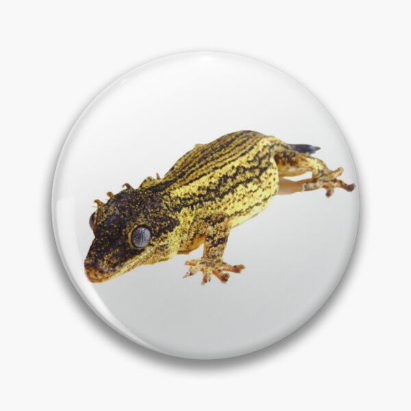 Item preview, Striped gargoyle gecko photography  designed and sold by bubbaclez.