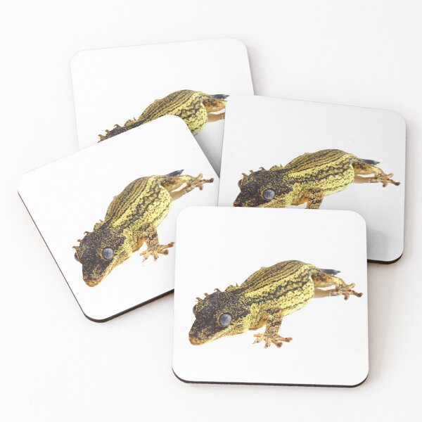 Item preview, Striped gargoyle gecko photography  designed and sold by bubbaclez.