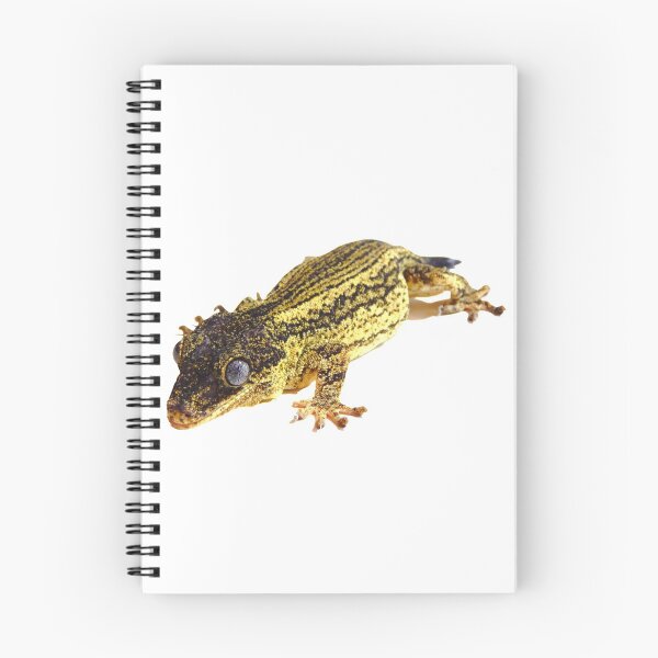 Item preview, Striped gargoyle gecko photography  designed and sold by bubbaclez.