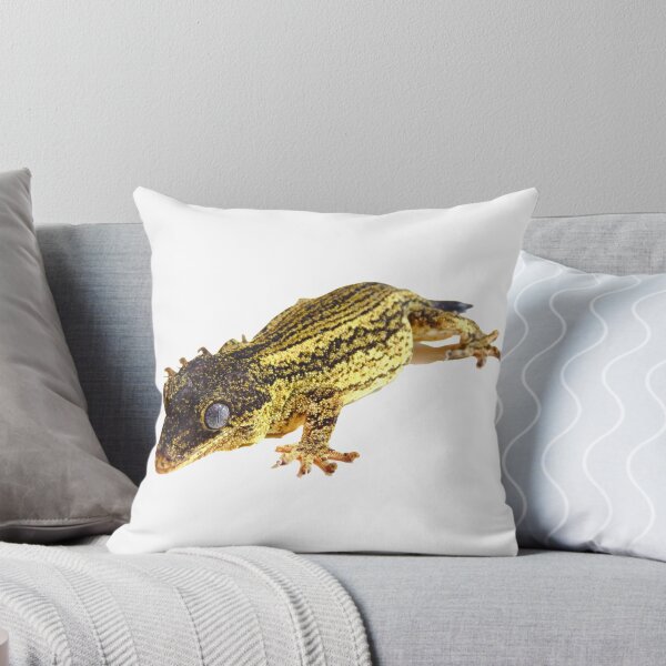 Item preview, Striped gargoyle gecko photography  designed and sold by bubbaclez.