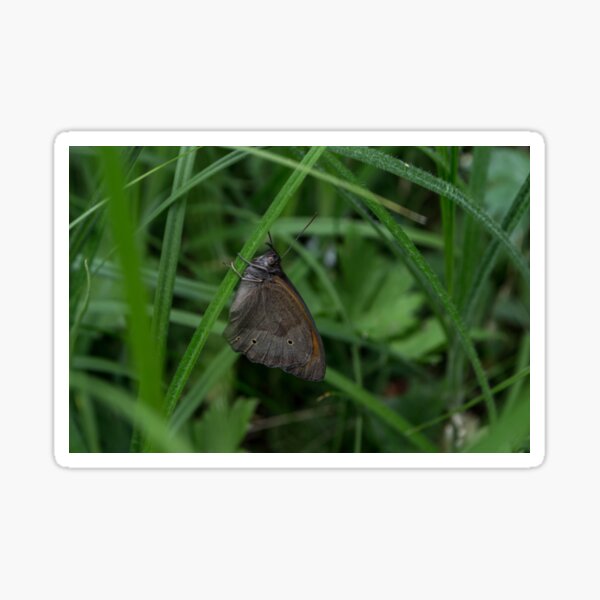 Item preview, Butterfly designed and sold by RavenneArt.