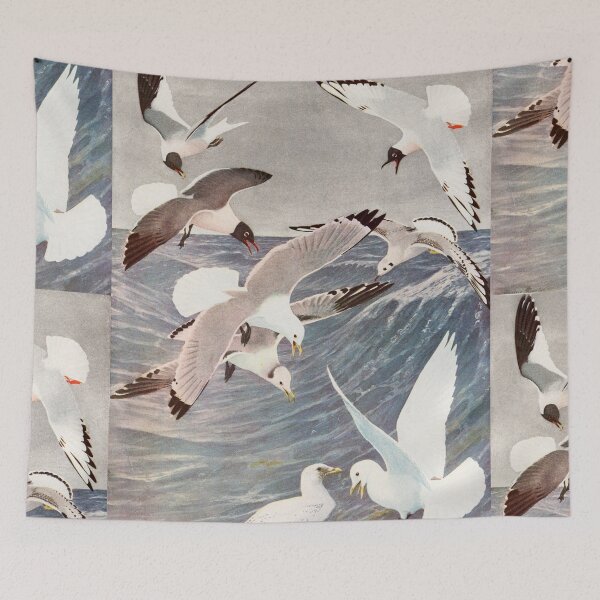 Item preview, Varieties of Seagull vintage illustration  designed and sold by Vintage Designs +.