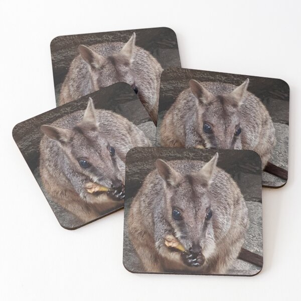 Item preview, Rock Wallabies of Nelly Bay designed and sold by MickAndoDesigns.