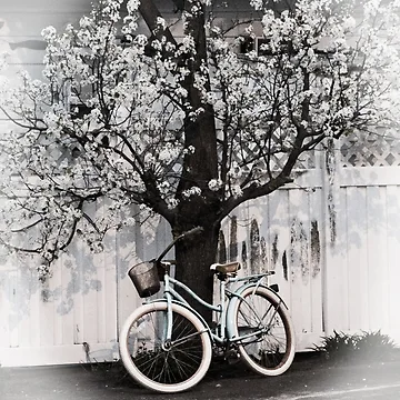 Artwork thumbnail, Spring by AnneDB