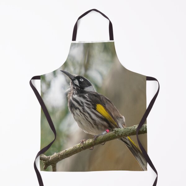 Item preview, Remember to always look up designed and sold by Cornishinoz.