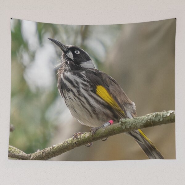 Item preview, Remember to always look up designed and sold by Cornishinoz.