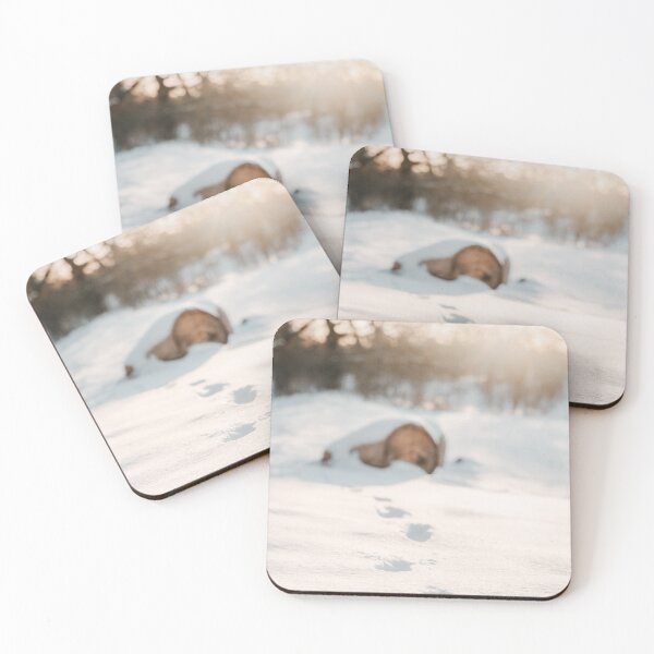 Item preview, Footsteps in snow, tree trunk and sunset in background designed and sold by Melissa Peltenburg.