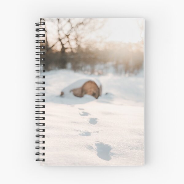 Item preview, Footsteps in snow, tree trunk and sunset in background designed and sold by Melissa Peltenburg.