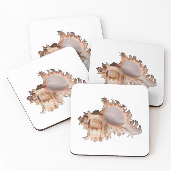 Item preview, Murex Shell Design designed and sold by AntWest.