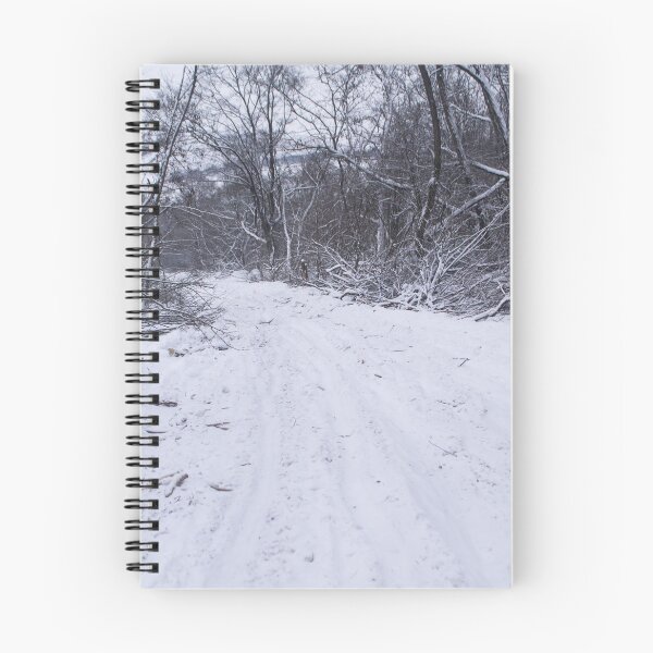 Item preview, Snowy Path designed and sold by RavenneArt.