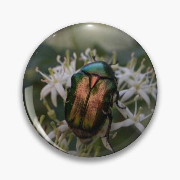 Item preview, Rose Chafer. designed and sold by RavenneArt.
