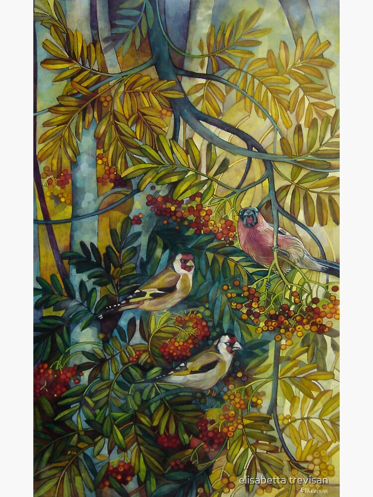 Goldfinches in the sorb-tree "sorbus aucuparia " by betta