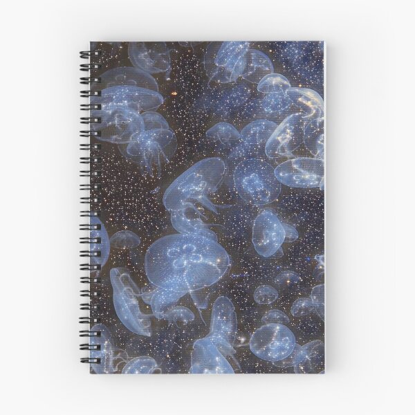 Item preview, GALATHI School of Jellyfish Stars - Fish designed and sold by Galathi Designs.
