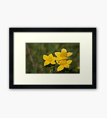 #flower Framed Print