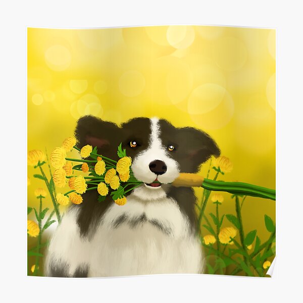 "under the chrysanthemum with dog and flowers" Poster for Sale by