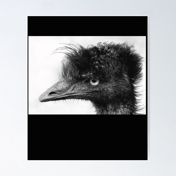 Item preview, Roadside Emu in black and white designed and sold by Ilyas912.
